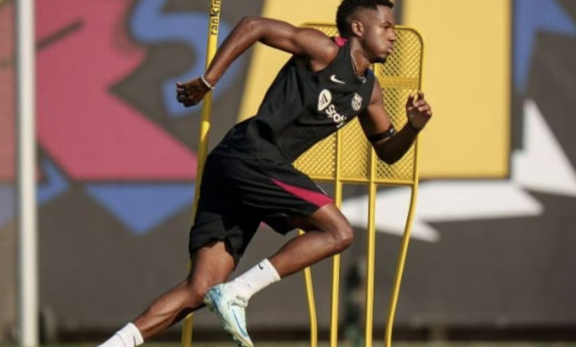 花能从这次 花能从这次