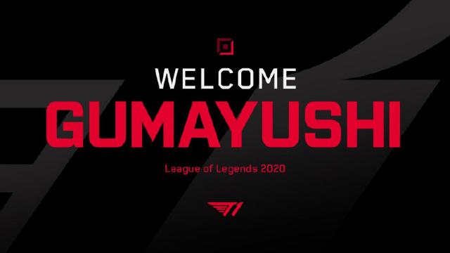 知名品牌Y 知名品牌Y