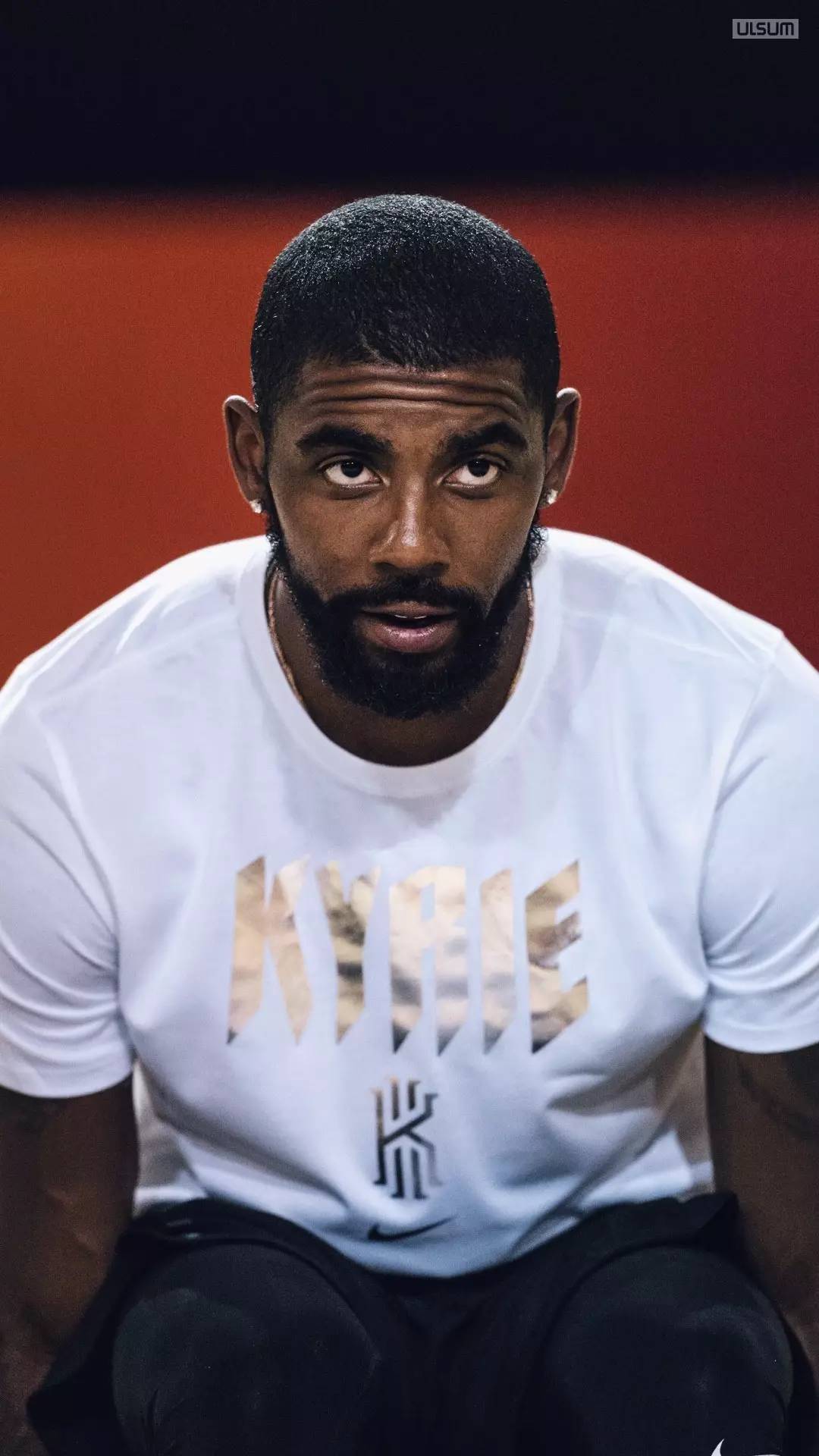 尾翼边界被 尾翼边界被